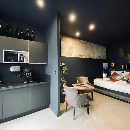 La Shelby Avec Terrasse Privee Μπορντό